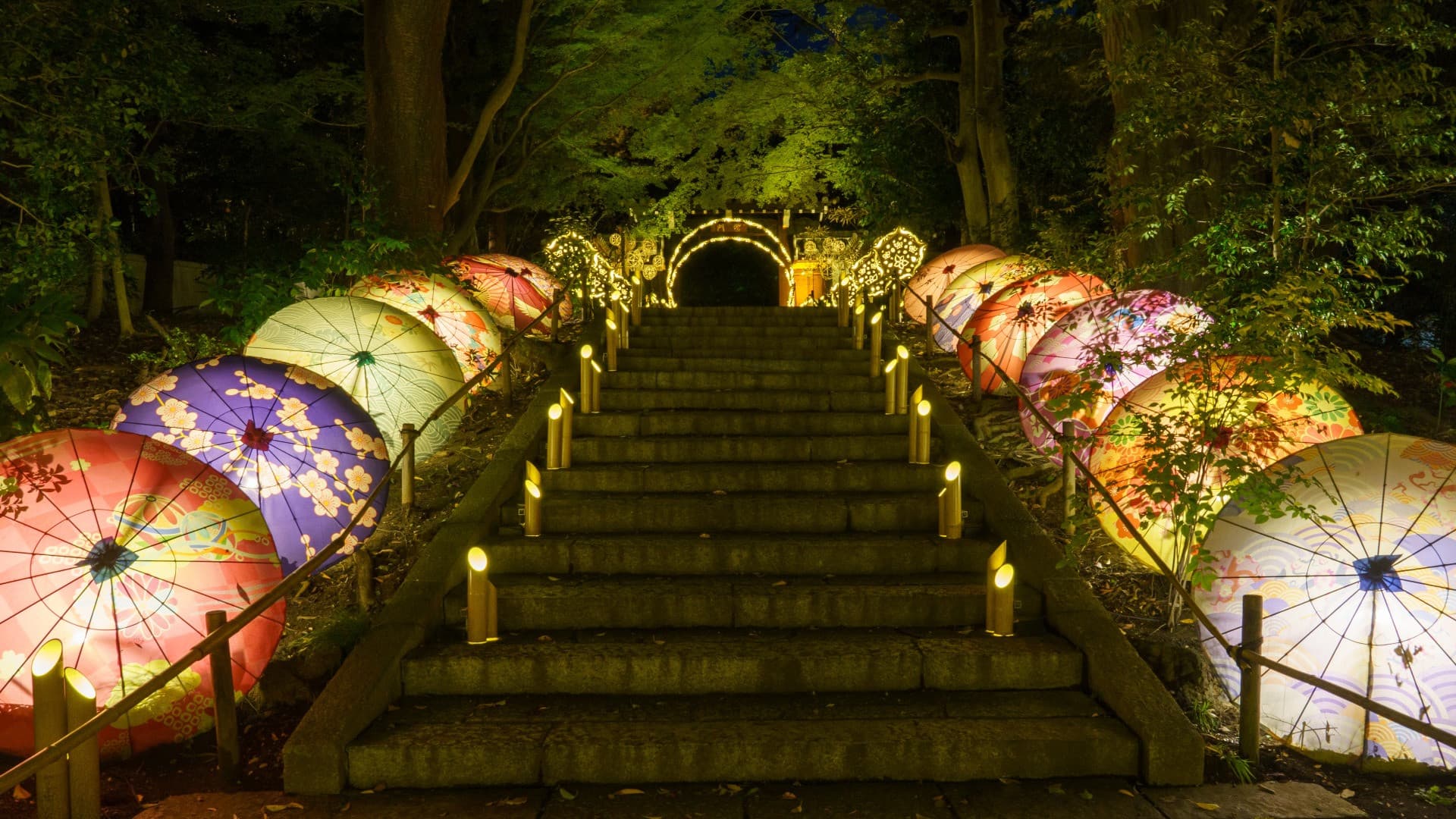 YOMIURILAND Amusement Park Ticket - image 15